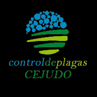 Profile image example
